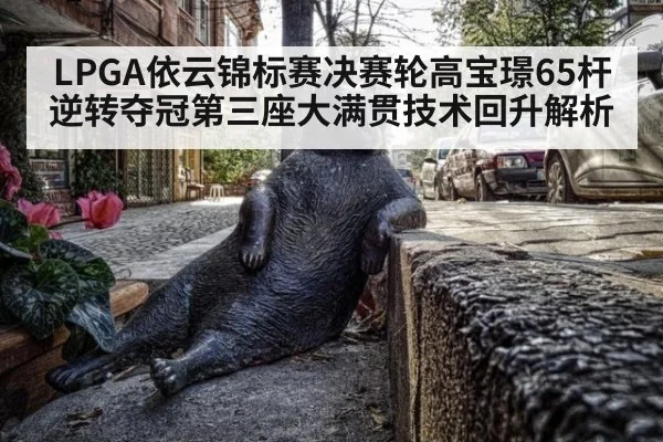 LPGA依云锦标赛决赛轮高宝璟65杆逆转夺冠第三座大满贯技术回升解析