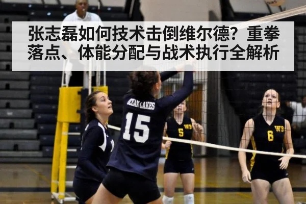 张志磊如何技术击倒维尔德?重拳落点、体能分配与战术执行全解析