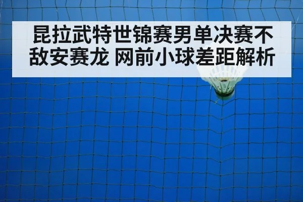 badminton net shot